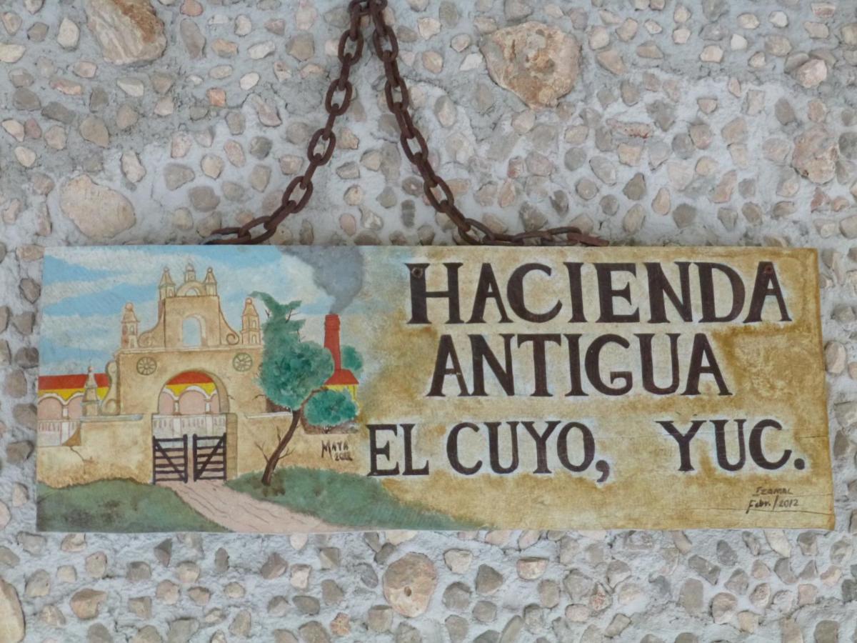Hacienda Antigua Villa, 50M From Sandy Beach El Cuyo Eksteriør bilde